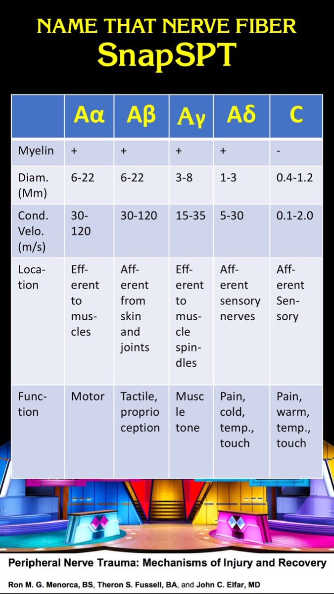 SnapSPT 👻 tweet media