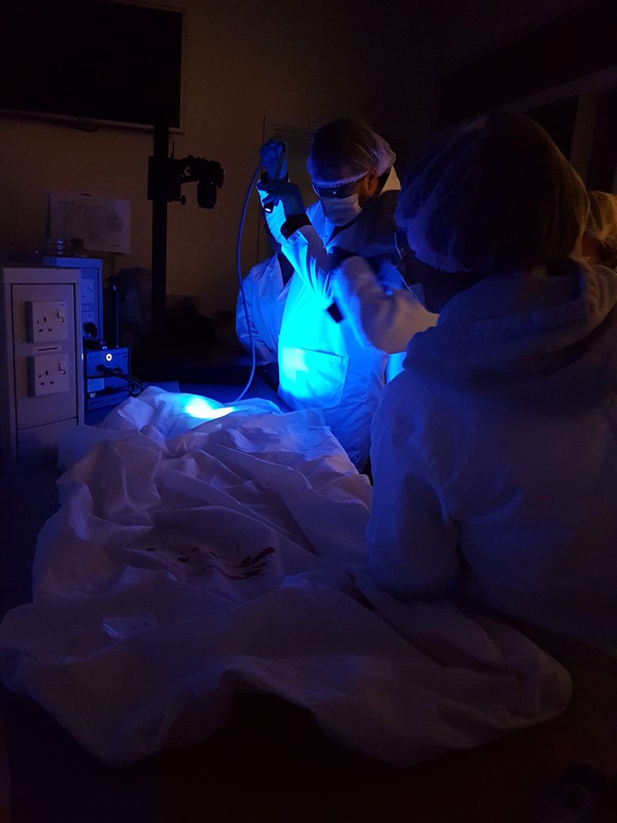 HelenEarwaker's tweet image. Excellent week with our lovely 1st year @UOP_ICJS_CFS #forensicstudies students putting some #evidenceanalysis theory into practice