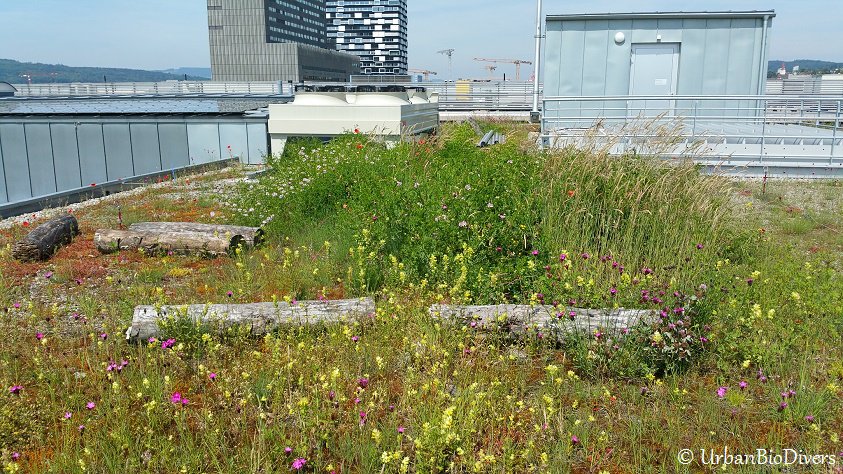 CASNaturenville's tweet image. Appel à communication, colloque international, #Perpignan (France), 11-14 juin 2019 
Réenchanter le sauvage urbain : percevoir, penser et vivre avec la #nature dans son milieu urbain
ow.ly/ZPI830isuOA