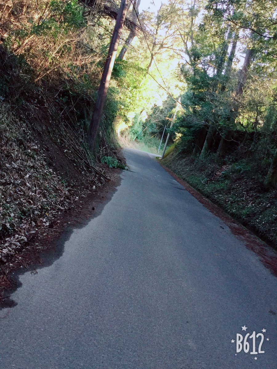 のえ (GD_noe) Twitter