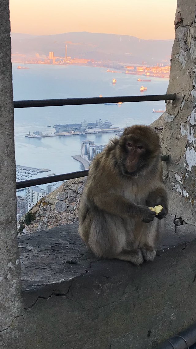 DWOSXYRWAAEXp7r.jpg:large