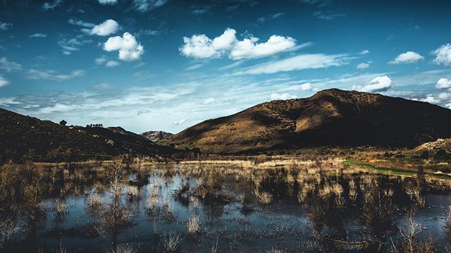 ian_rua's tweet photo. a stop off at lake hodges in between shoots a few days ago
•
•
•
#escondido #deldios #lakehodges #lakehodgestrail #sandiegocalifornia #sandiegocounty #landscapephotography #landscapes #encinitas #leucadia #leucadiaphotographer #ranchobernardo #sanpas… https://t.co/5Yy8xTSa7y https://t.co/vlNM9ebiEA