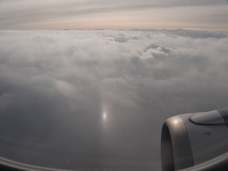 kaga's tweet photo. 飛行機から見た映日（えいじつ）。Wikipediaによると、映日とは、太陽から地平線を挟んで正反対の真下に、白い光の帯が見える大気光学現象のことである。
ということで地上ではなかなか見れない現象なんですよね。
#映日 #subsun #機窓 #機窓から https://t.co/X7WmRZ5ceV