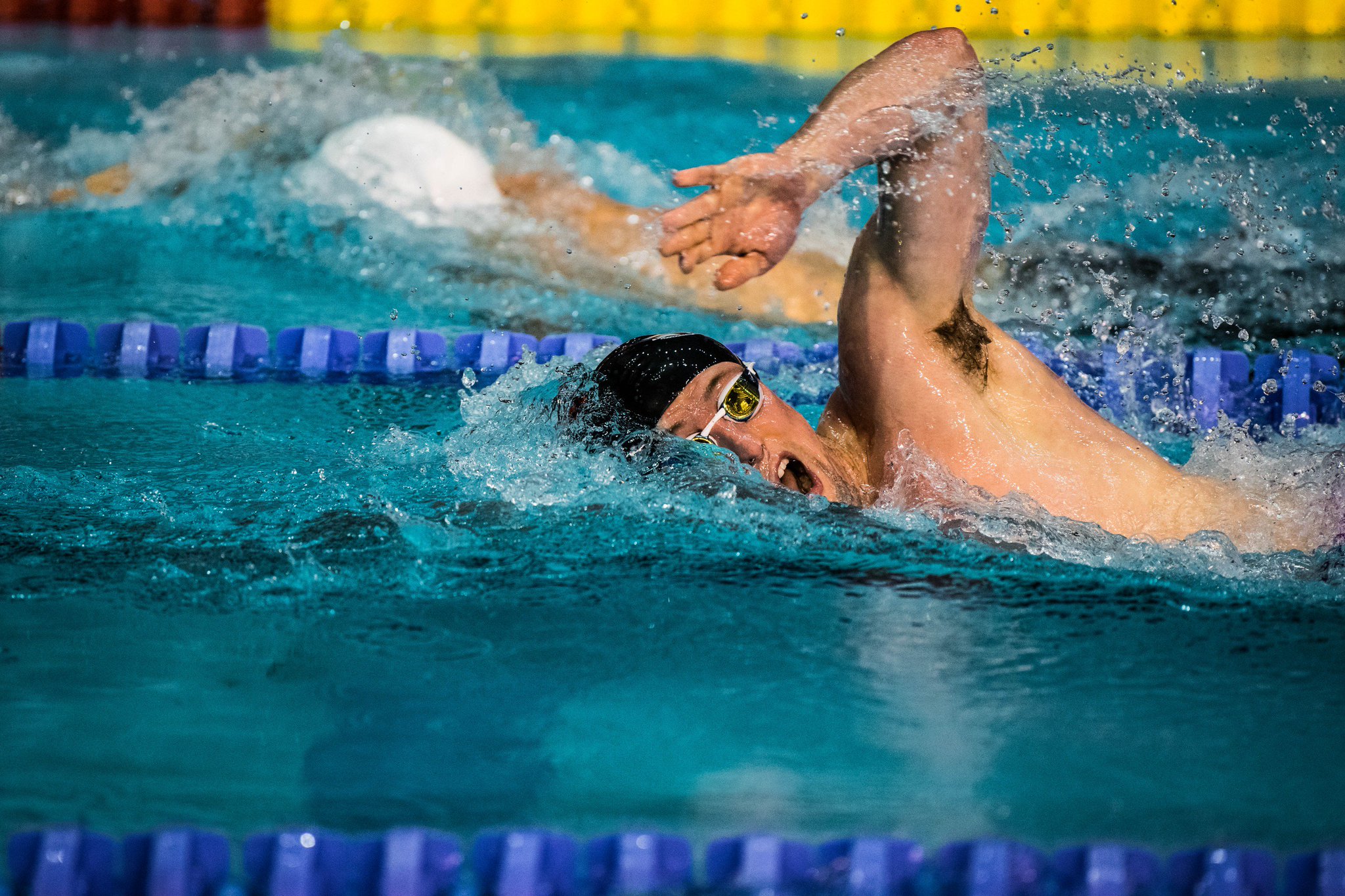 BUCS on Twitter "SWIMMING Biggest day in the swimming calendar for a