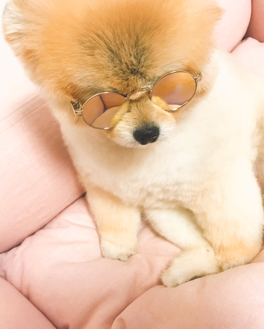 knj-njk-on-twitter