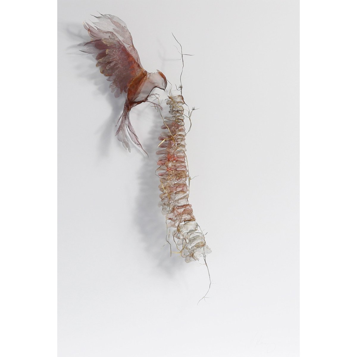 Debra Finn tweet media