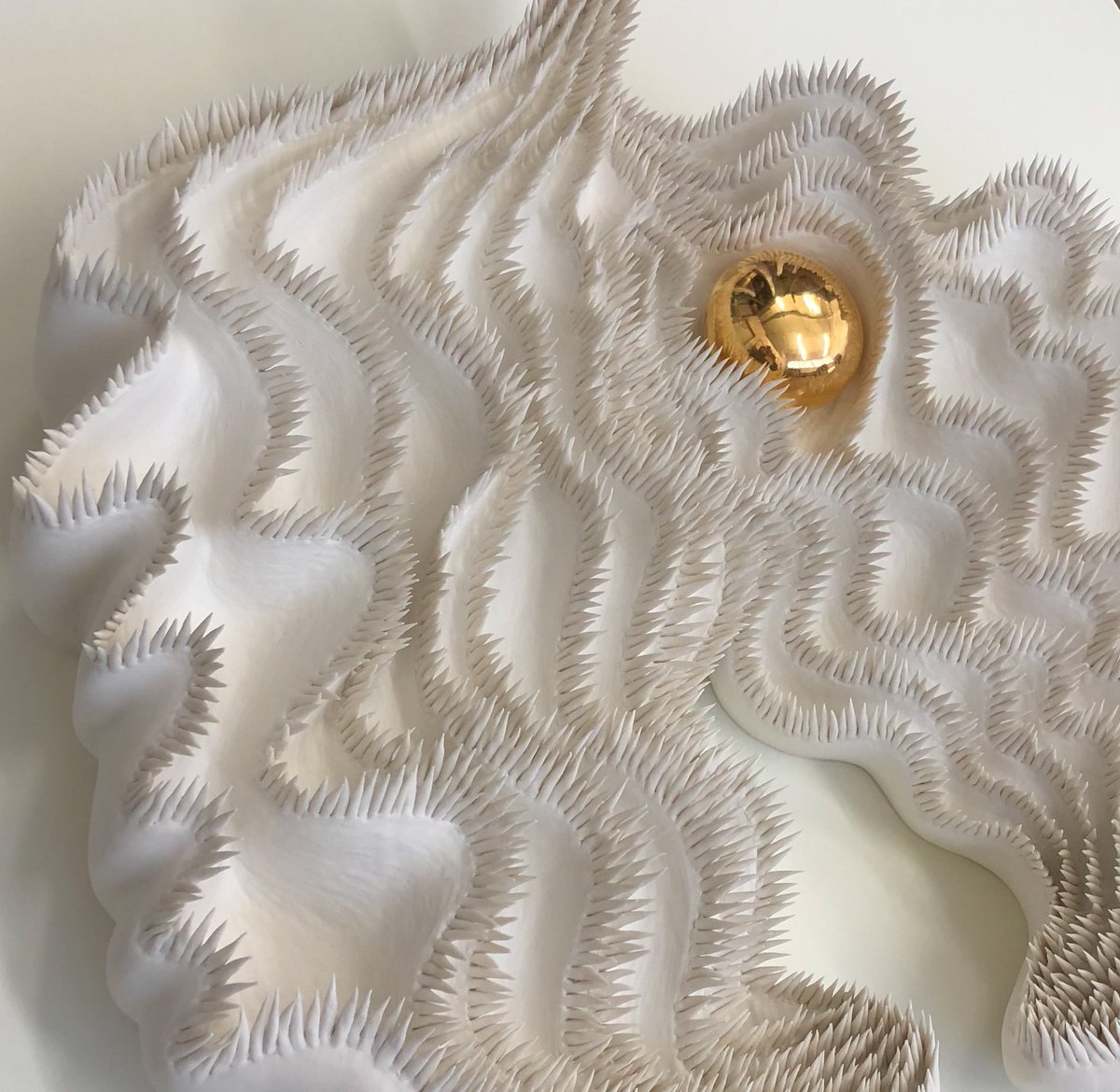 Debra Finn tweet media