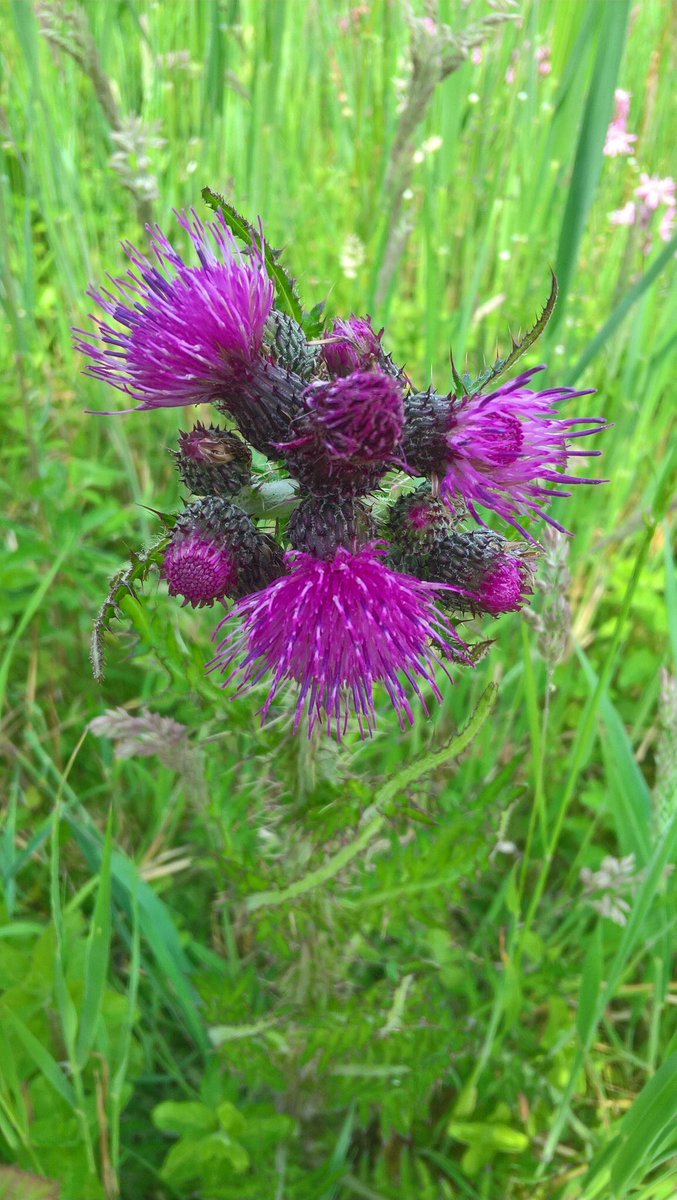 GKooger's tweet image. Bijzondere mededeling aan mijn T-relaties: Deze week zult u mijn laatste eigen Twitter-berichten en retweets lezen, want a.h.g.i. zal ik donderdag #overlijden aan de gevolgen van #longkanker. Fijn dat ik u mocht ontmoeten op mijn levensweg en het ga u goed...