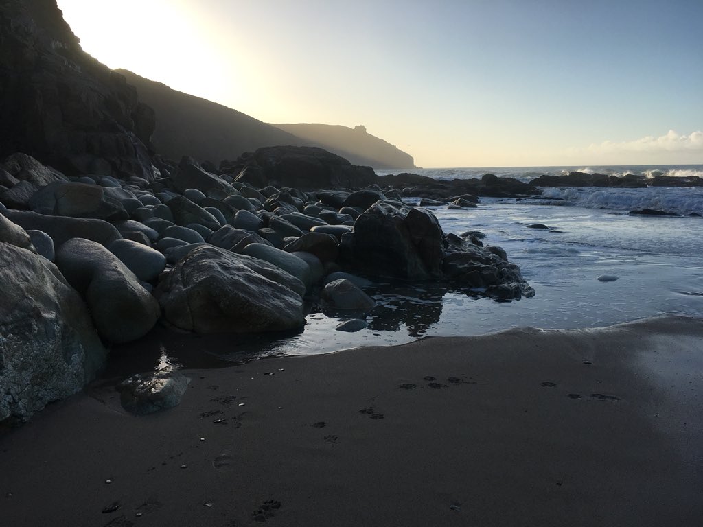 pickledome's tweet photo. Lovely morning walk on the beach #cornwall https://t.co/ogGsncdAqW