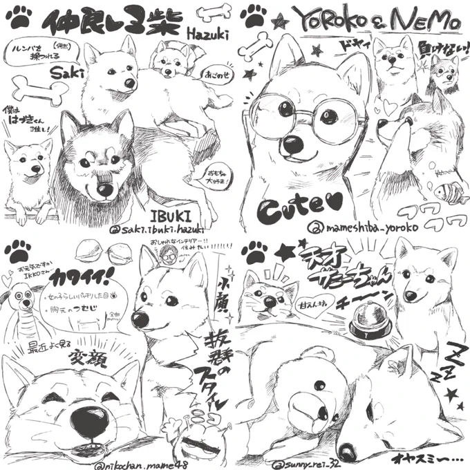 Instagramで毎日見て癒されてる柴犬ちゃん達のご紹介です?
疲れがたまっている方、ぜひ見てみてください!一瞬で笑顔になれます?絵じゃ伝わらないかわいさの集団… 