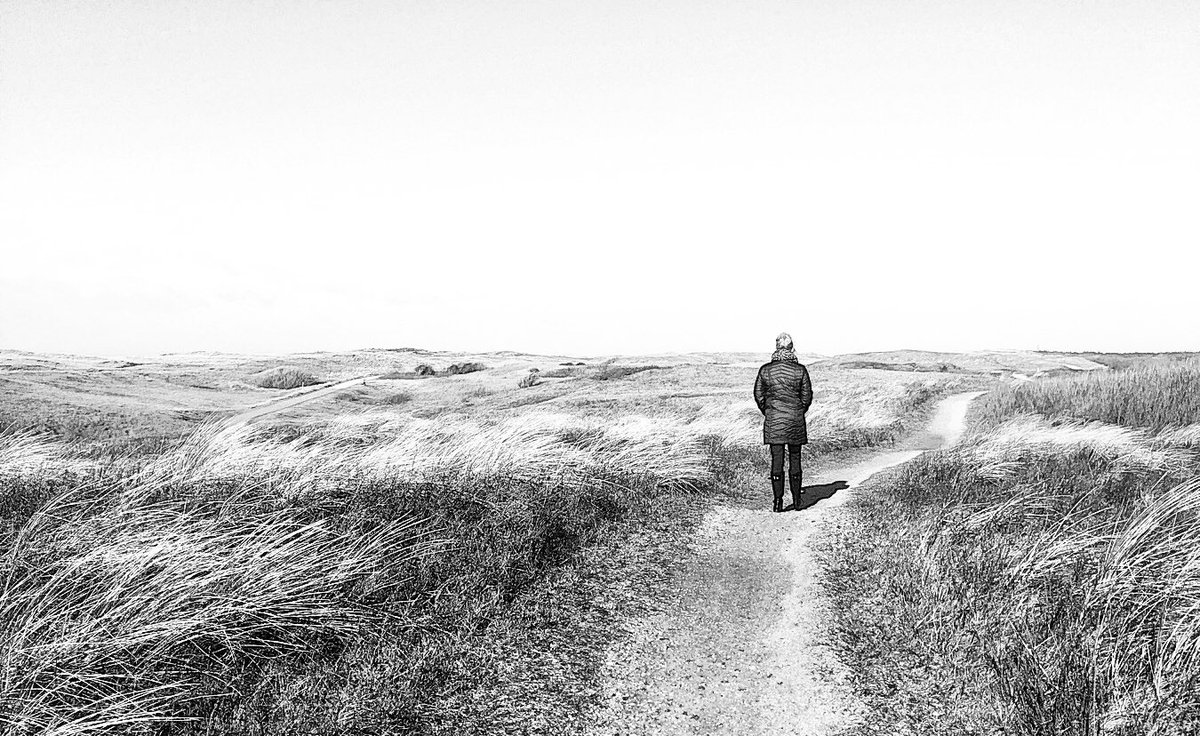 SjDepp's tweet image. Artviewer, de schoonheid van de Helderse Duinen...