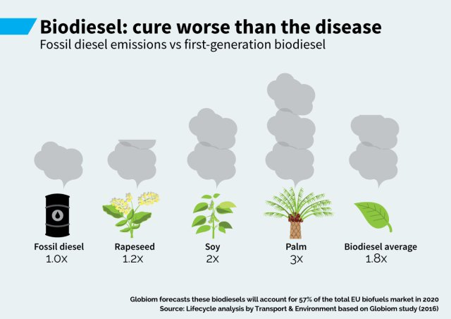 Documentaire over #biobrandstof gekeken: Het is een ramp voor het #milieu. Er wordt oerwoud gekapt, verbrand (= #CO2), #palmolie of #gentech soja neergezet, drijft voedselprijzen omhoog en #glyfosaat gespoten. #groenigheid
ec.europa.eu/energy/sites/e…