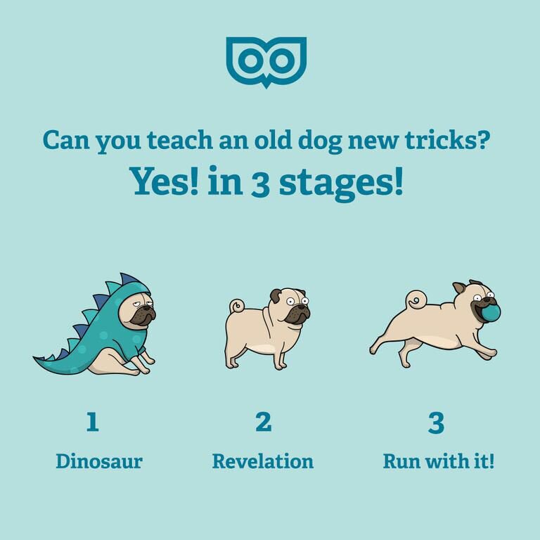 topleftdesign's tweet photo. For Chinese New Year I put this together to show you how some folks take on social media and content marketing! #standoutcontent #YearoftheDog2018 #YearOfTheDog https://t.co/nd23rbrSG2