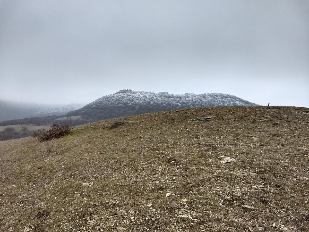 Lead CEO & Co-chairmanfounder (@androdars) on Twitter photo 