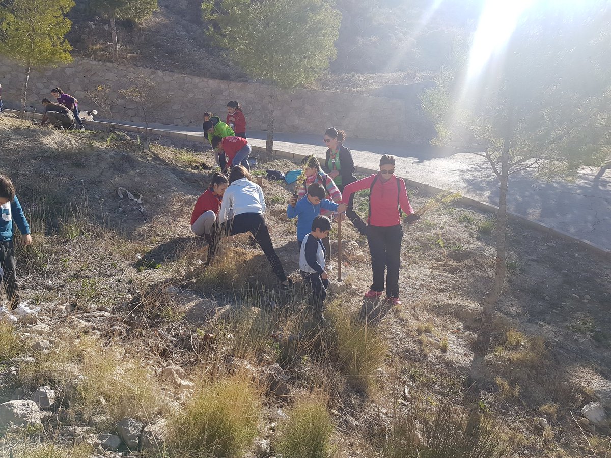 AMPAanitaarnao's tweet photo. Colaborando en la I Repoblación 2018 en el entorno del Castillo.  
Un centenar de personas en su mayoría niñ@s han participado este sábado en la plantación de 500 Pinos en el entorno del Castillo de #Mula. Dar las gracias al Grupo Scouts por su encomiable labor @orgulloscout https://t.co/oU7EEjzPnM