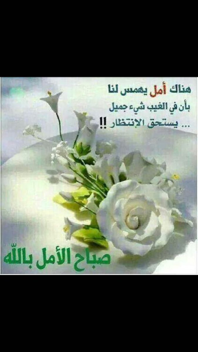 AHummer65 tweet picture