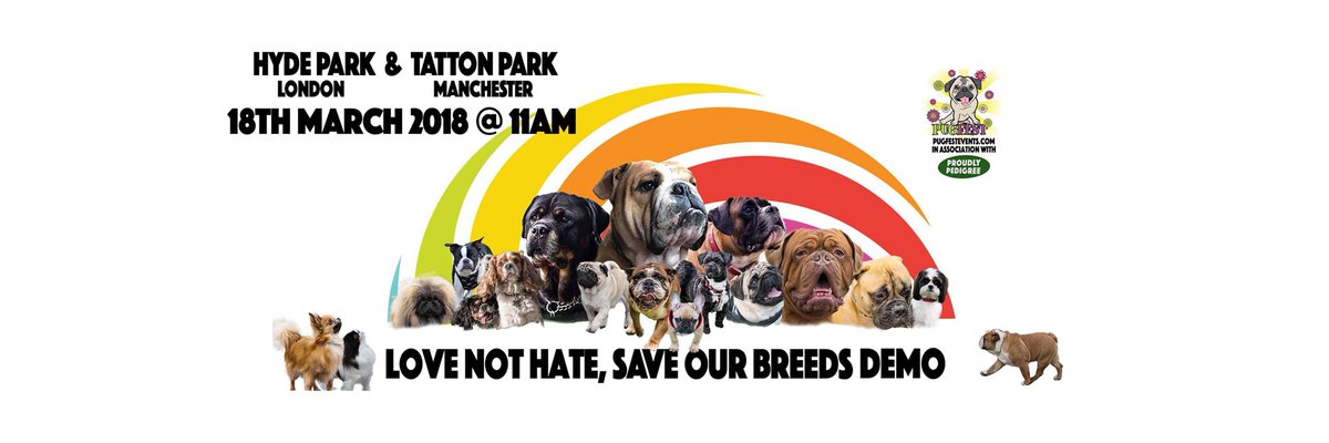 SaveOurBreeds's tweet photo. LOVE NOT HATE, SAVE OUR BREEDS MARCH! 

#dogsoftwitter #bulldog #pug #puglife #frenchie #frenchbulldog #doglife #SaveOurBreeds #LoveNotHate https://t.co/zNNRFKzgGU