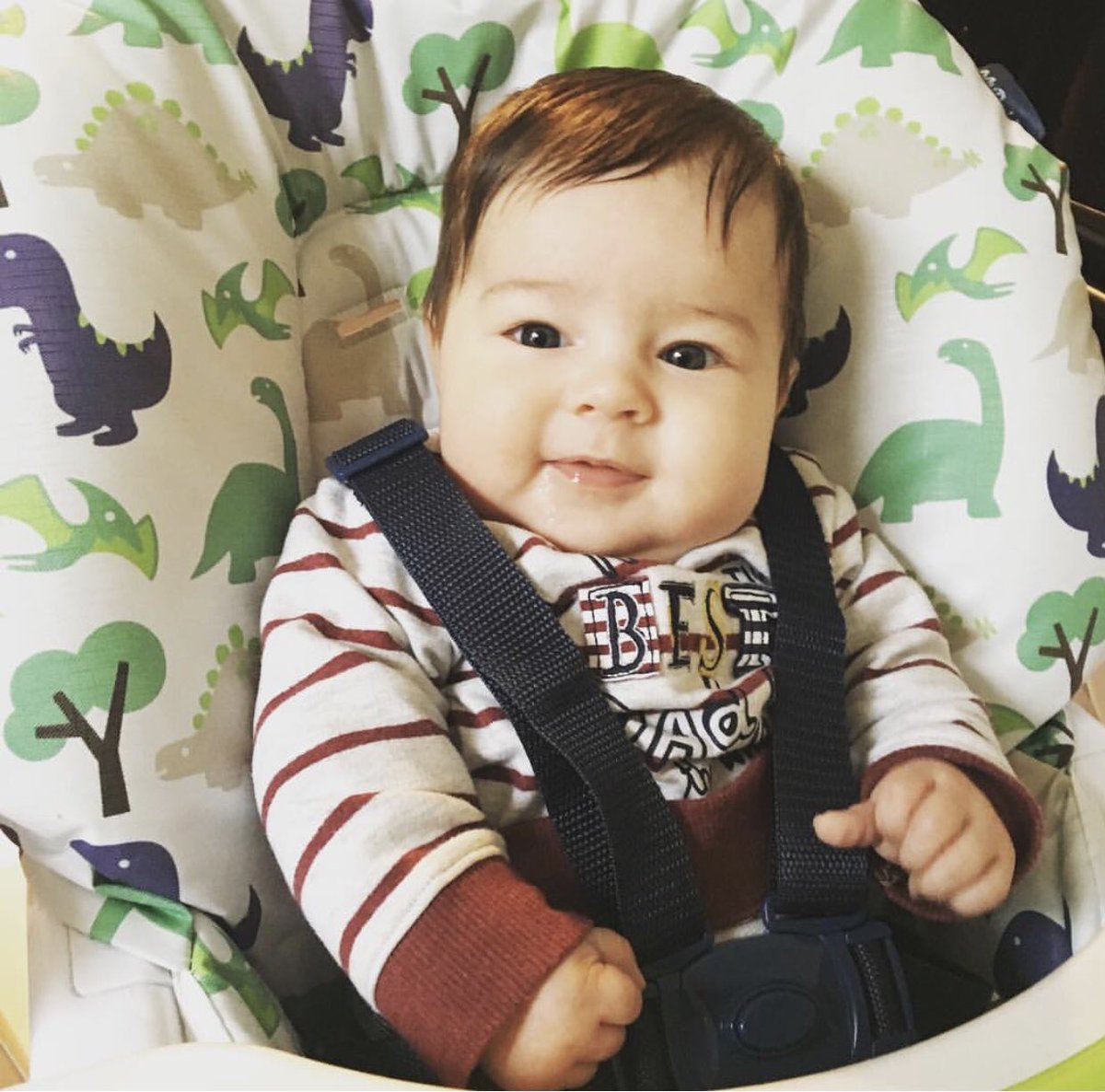 my babiie highchair dinosaurs