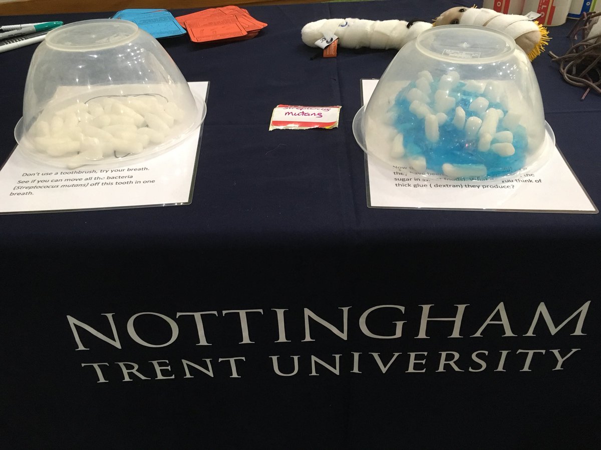 Sarah Rayment tweet media