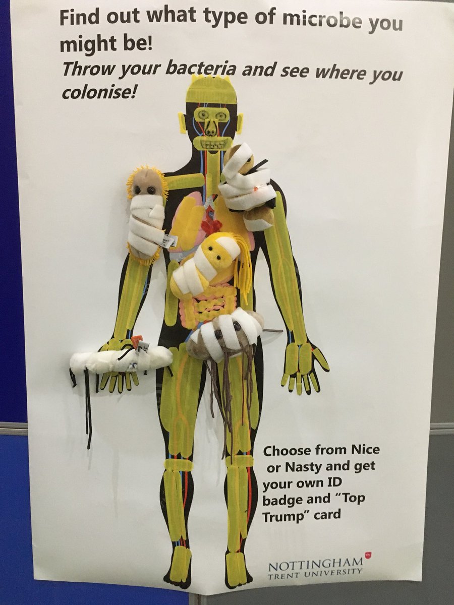 Sarah Rayment tweet media