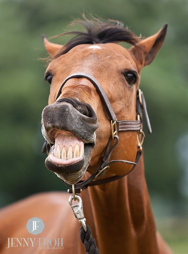 Matt Smith tweet media