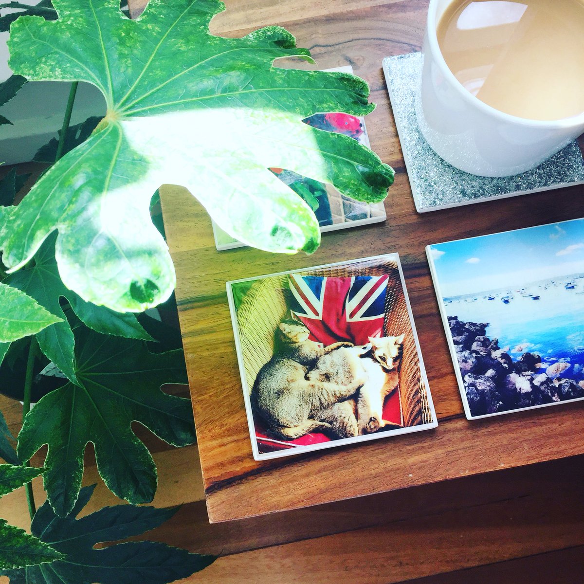 Sunny Saturday in the flat ☀️🌿🐱☕️ And I really love looking these coasters.. I took these photos on a weekend away to Torquay with mama.. such fun memories 💛💛💛 

Get in touch for your own bespoke coasters like these ✨✨✨

luckynine.co.uk