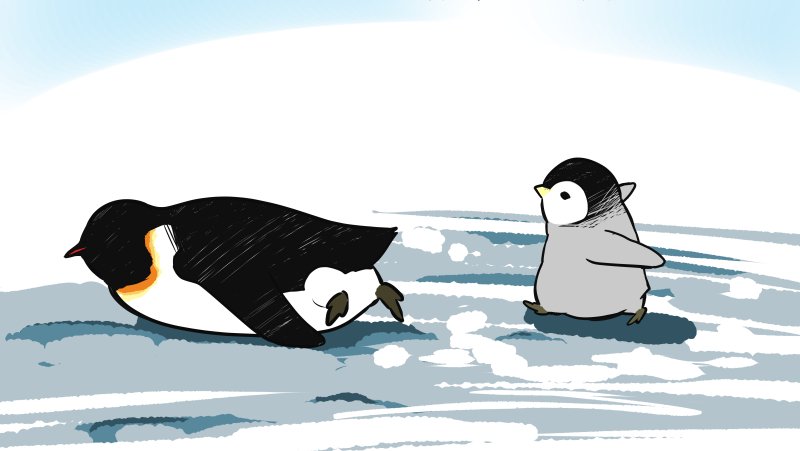 皇帝ペンギンのペンペン Twitterren 南極に住む皇帝ペンギン その徒歩速度は時速0 5km トボガンでも時速6 8km それでも海岸から営巣地まで 100キロ以上も ただひたすら歩いていくのだ ペンギン エンペラーペンギン 南極