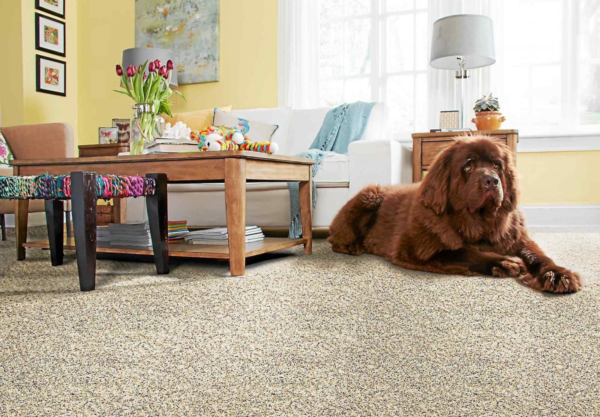 With #SmartFlooring to #SmartGrooming, you can have a clean #SmartHome full of your furry friends. 
tinyurl.com/y9ztuh88