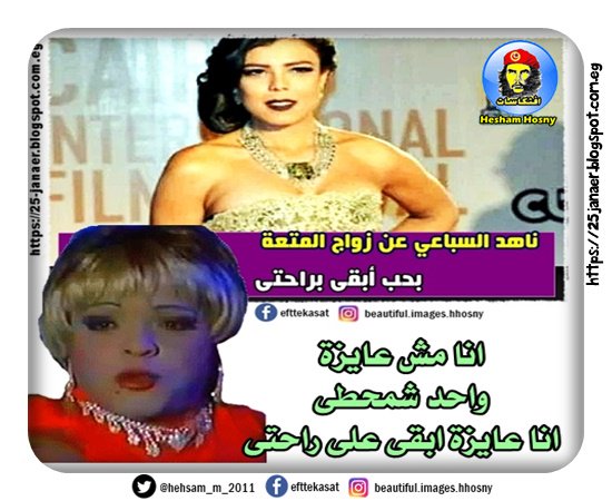 انا مش عايزة واحد شمحطى انا عايزة ابقى على راحتى