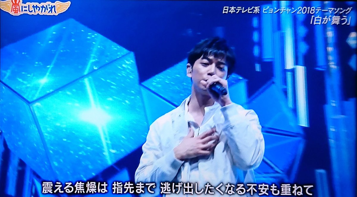 白が舞う 白が舞う