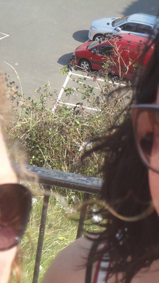 ***CATEGORY ANNOUNCEMENT*** facebook.com/groups/6753444…