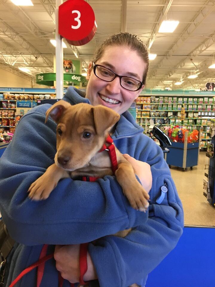 National Adoption Weekend Store 1225 #adoptlove #petsmartemployee