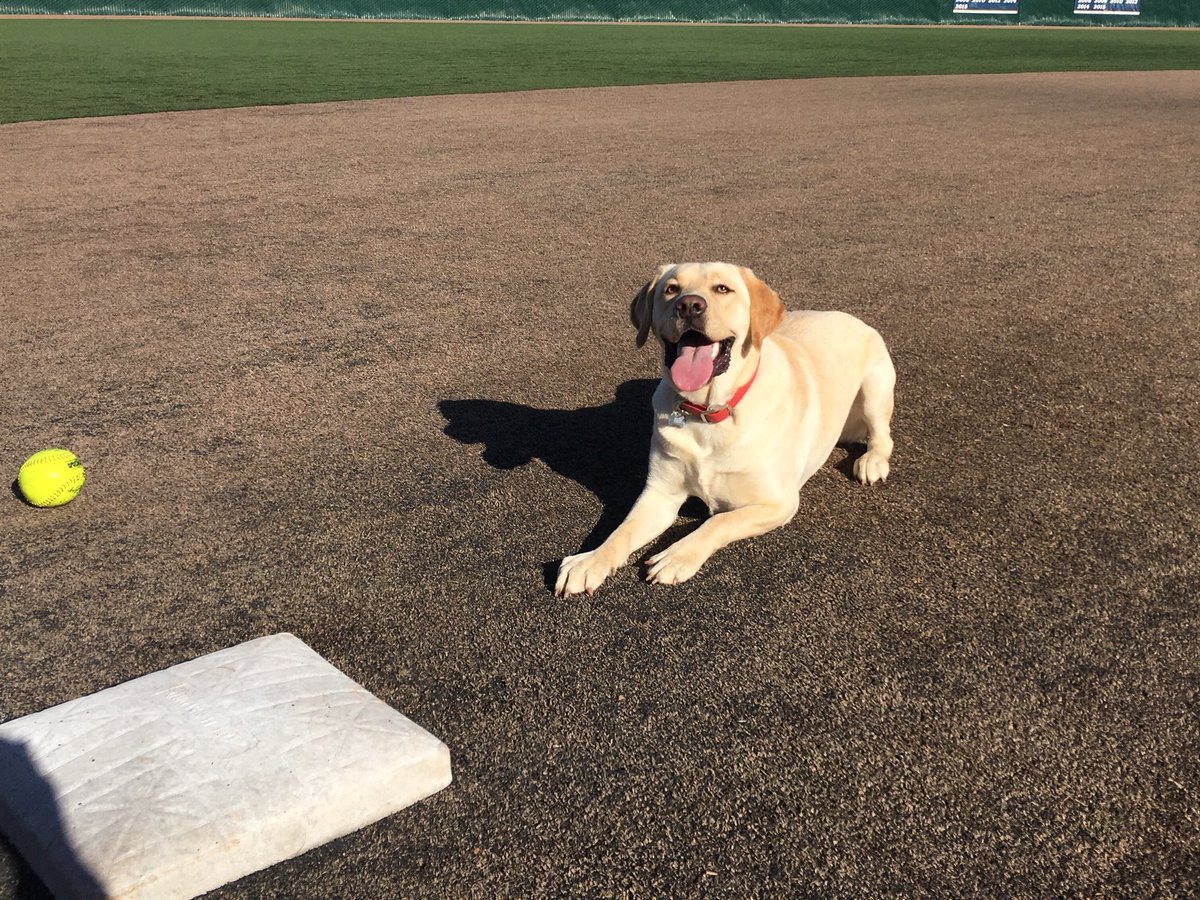Fired up for <a href="/OtterSoftball/">Otter Softball</a> and @Andrea_Kenney to take the field today! So is Mack! ❤️ #LGO #WeAreMB