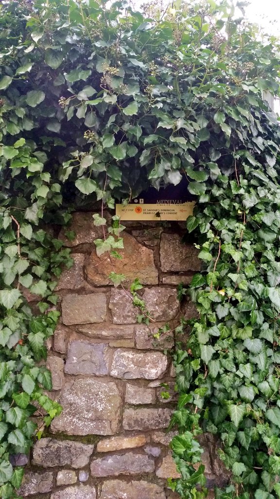 TheBoxsideOut's tweet photo. Yesterday in #LimerickCity #Limerick #Ireland.

#WallsOfLimerick https://t.co/1OapmT7Q8E