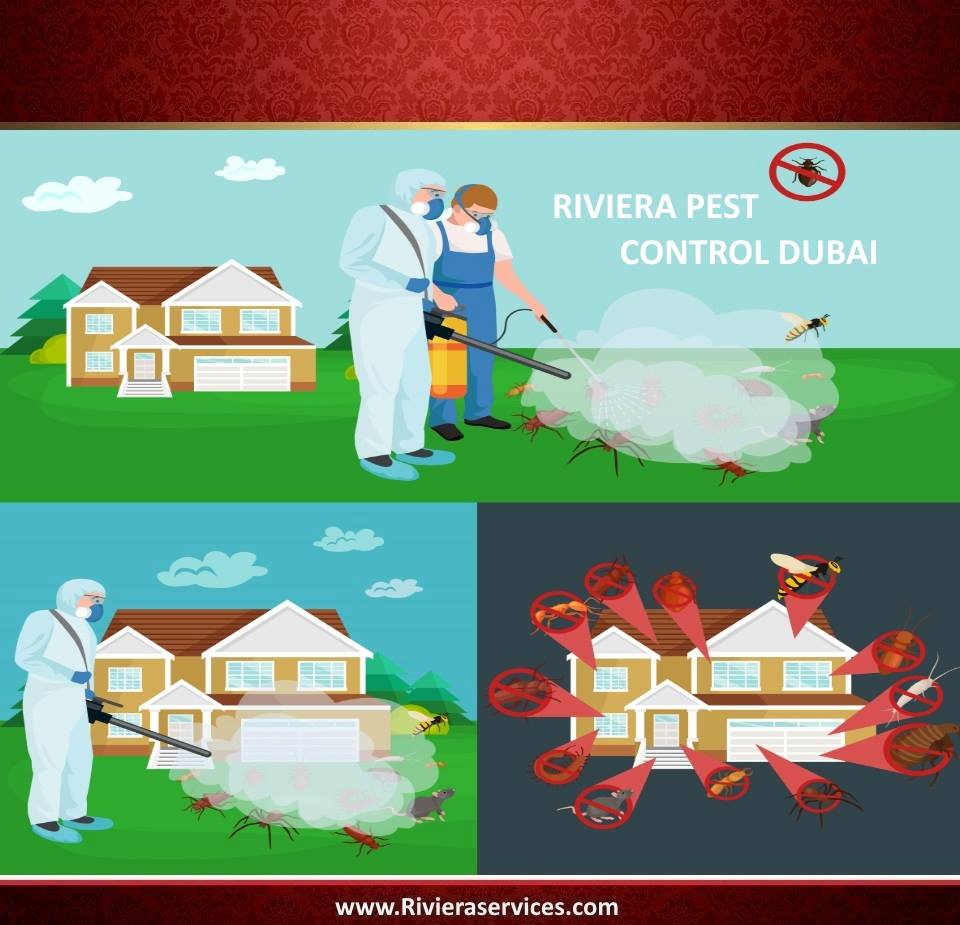 rivierapest's tweet photo. https://t.co/WgK1a0ypkl