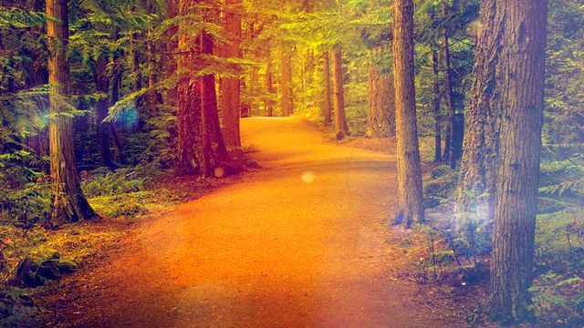 AndyCook10's tweet image. I wanted to invite you to join me in this 30 day devotional. I challenge you to commit to reading God’s word as one of your spiritual disciplines. 5-10 mins a day. STAY FIT: Strengthening Your Connection To Jesus buff.ly/2F792oZ