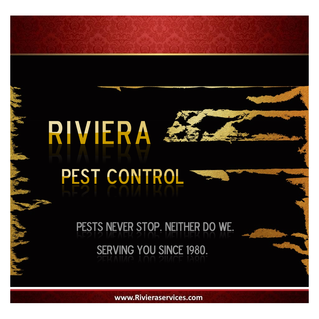 rivierapest's tweet photo. https://t.co/ytblli4xCz