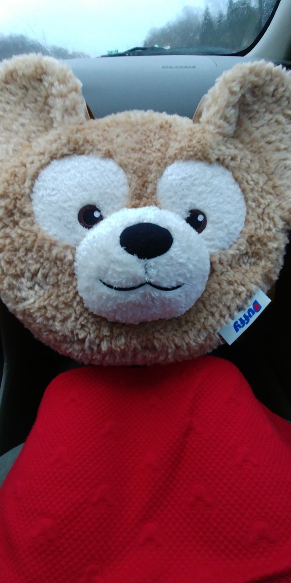 HistoricDisney's tweet photo. Getting taxes done before comic-con...
Laura: Is our tax lady going to be concerned that I'm getting our taxes done dressed like Minnie Mouse?
Brian: She's going to be more concerned you're pulling our important documents out of a bear head.
Laura: That's fair.
#DisneyFanProblems https://t.co/k55FN4EQn5