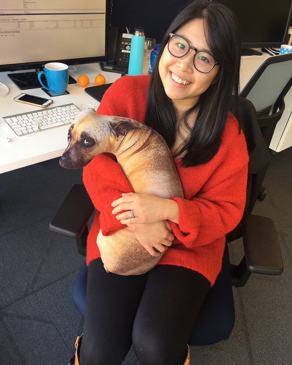 Appnovation's tweet image. Happy Chinese New Year 🐶
Appnovators brought their puppies in to work yesterday in celebration of year of the Dog! #theappnoway #hcny #yearofthedog#gongxifacai #yvrtech #dogsofappno#officedogs #lifeatappno