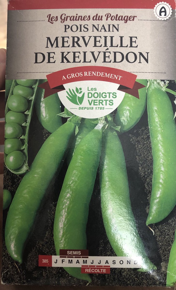 PotagerAuBalcon's tweet photo. C’est le retour du potager !
Première plantation de l’année avec la #TeamPetitPois, hâte de les voir sortir de terre ! https://t.co/wjDyLsSNtv
