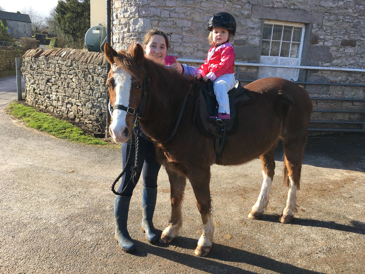 joanna_sayer's tweet photo. Good luck Hannah Farrell #youngestfan #StudAndStableStaff https://t.co/TE1enO8B61