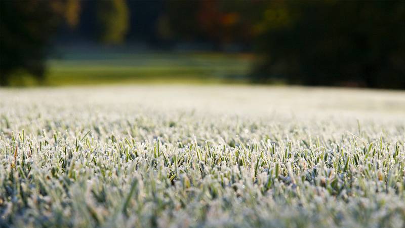Learn more about why, sometimes, a frost delay is necessary to ensure a good #SaturdayMorning. 
spr.ly/6011DuVu7