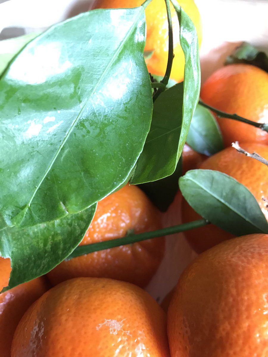 Weight4Life's tweet image. Lekker gezond doen💪🏼💚