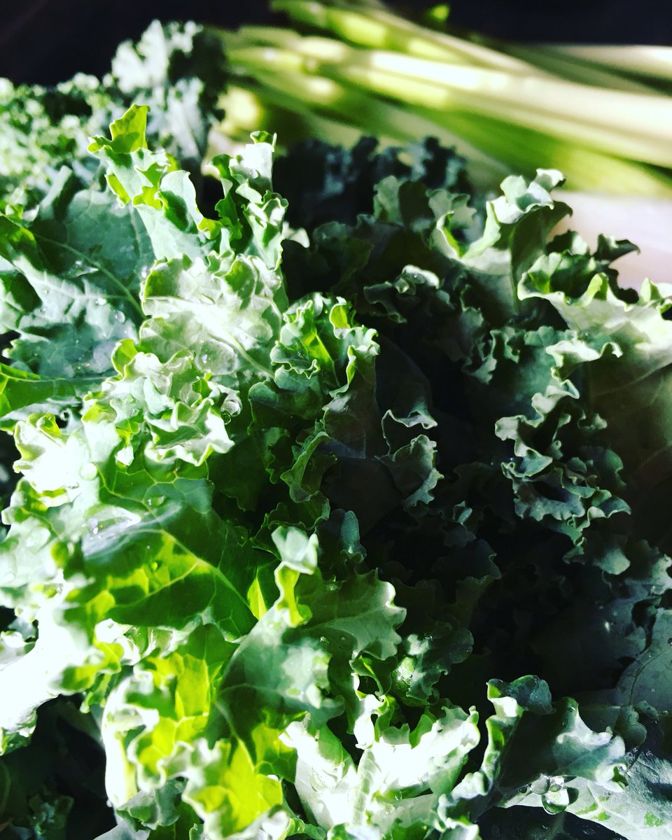 FoodandFervour's tweet photo. That morning light🙌🏼 Days are getting longer❤️💃🏼
#juicelife #naturallybalanced #springiscoming #enzymes #coldpressed #organic #goodtunes #healthiswealth #fuelwell #feelwell https://t.co/lLMUs11Edo