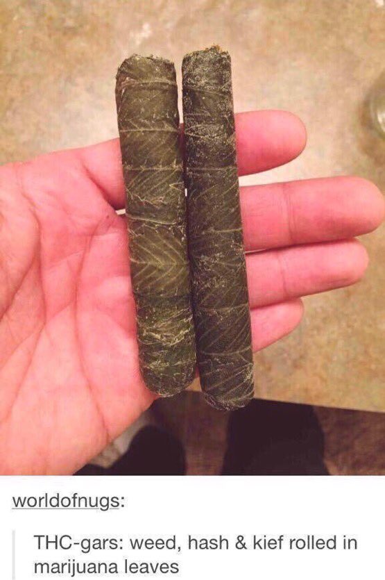 DrugedPosts's tweet photo. "Wyd after smoking this?" https://t.co/NuxuhoERWq