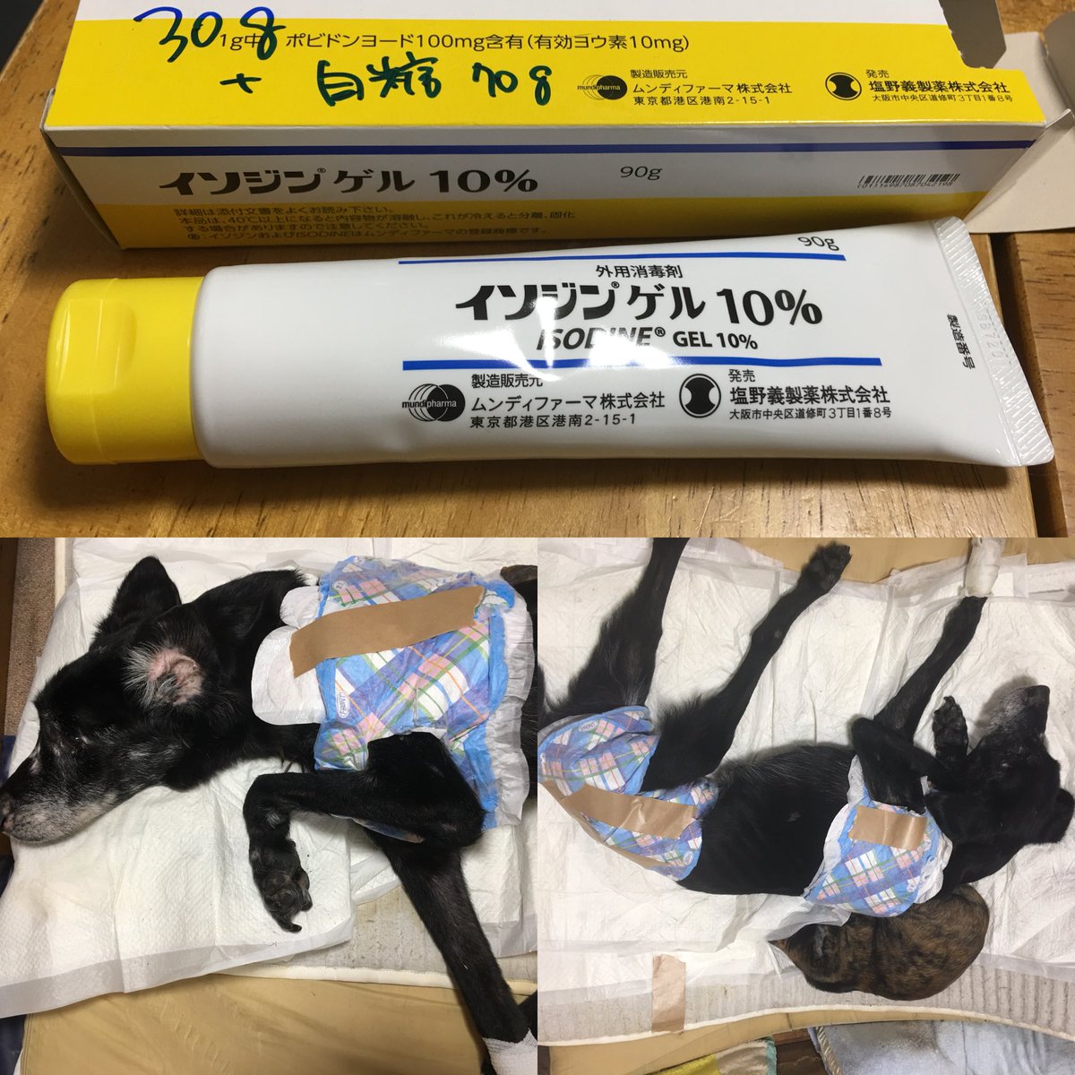 最も検索された イソジンゲル 添付文書 人気のある画像を投稿する 最も検索された イソジンゲル 添付文書 人気のある画像を投稿する