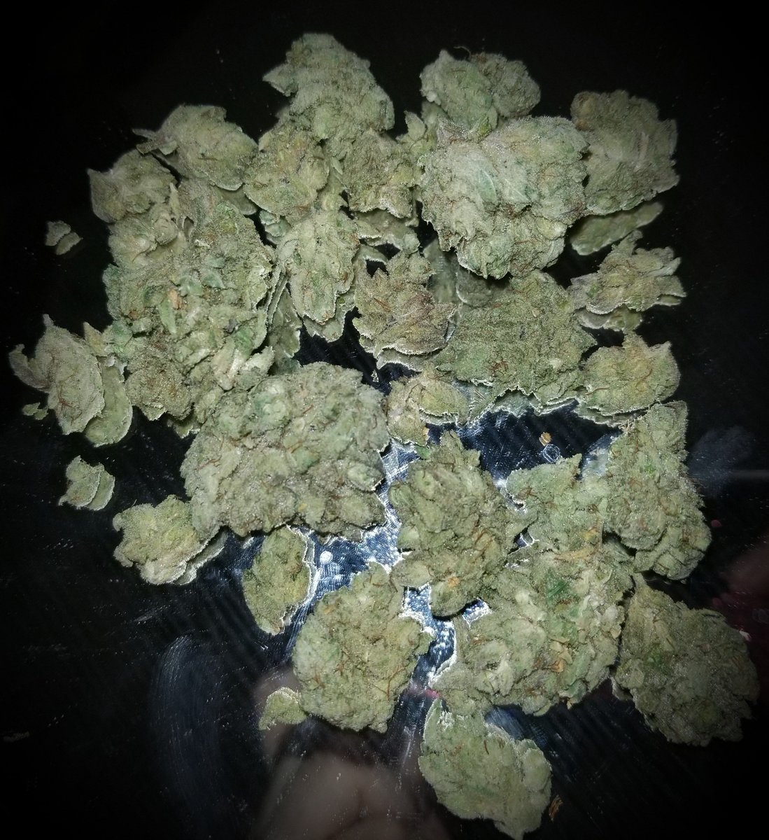 ThisIsOhHailNo's tweet photo. #MyDayAlwaysIncludes Mary Jane https://t.co/ATVcaOzNOw