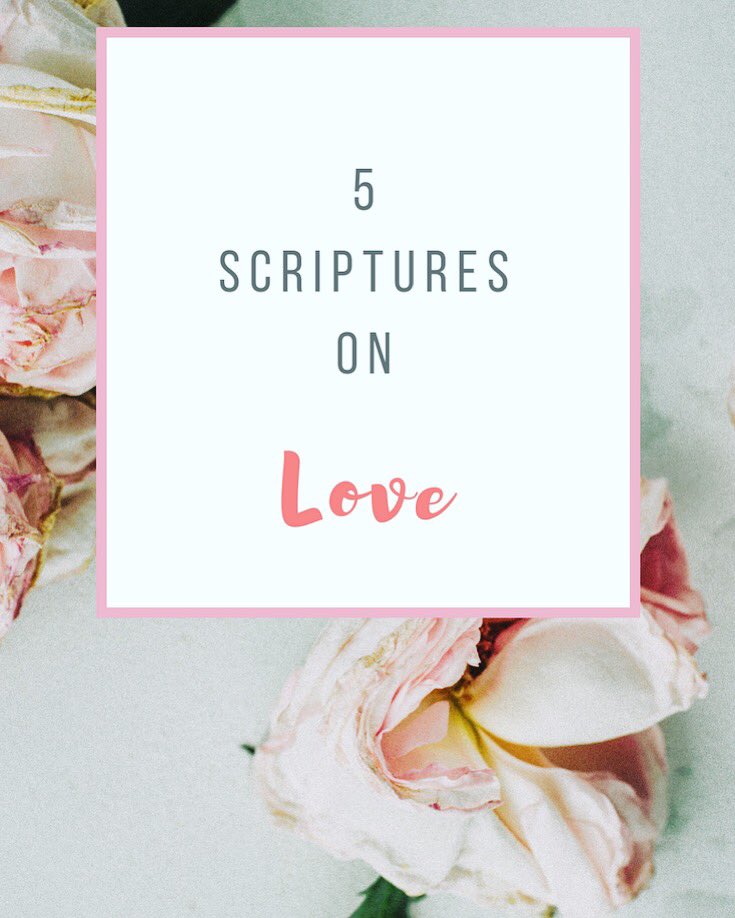 Lissalayne's tweet photo. New Blog Post Up! {Link In Bio}
All About Love This Saturday! 💕 #HoneybeeLayneBlog #SoulSaturdays #GodsLove #Scripture #Verses #blog #Canadian #Christian #Blogging #AllAboutLove https://t.co/l10CAf8sjv