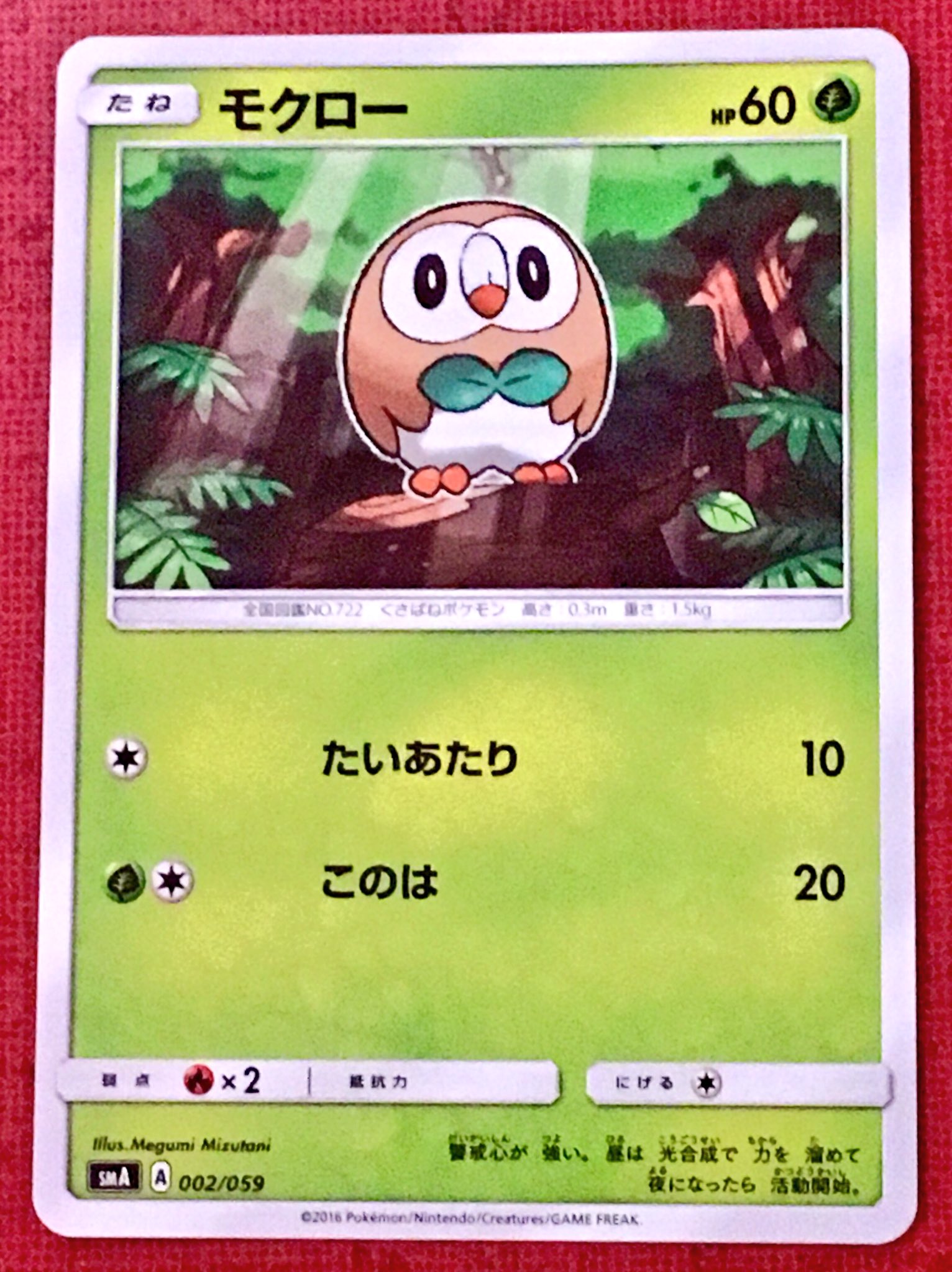隼レイカ ポケモンカードゲーム モクロー スターターセット草 ジュナイパーｇｘ はやぶさモクローコレクション T Co Iswv8qlg7f Twitter