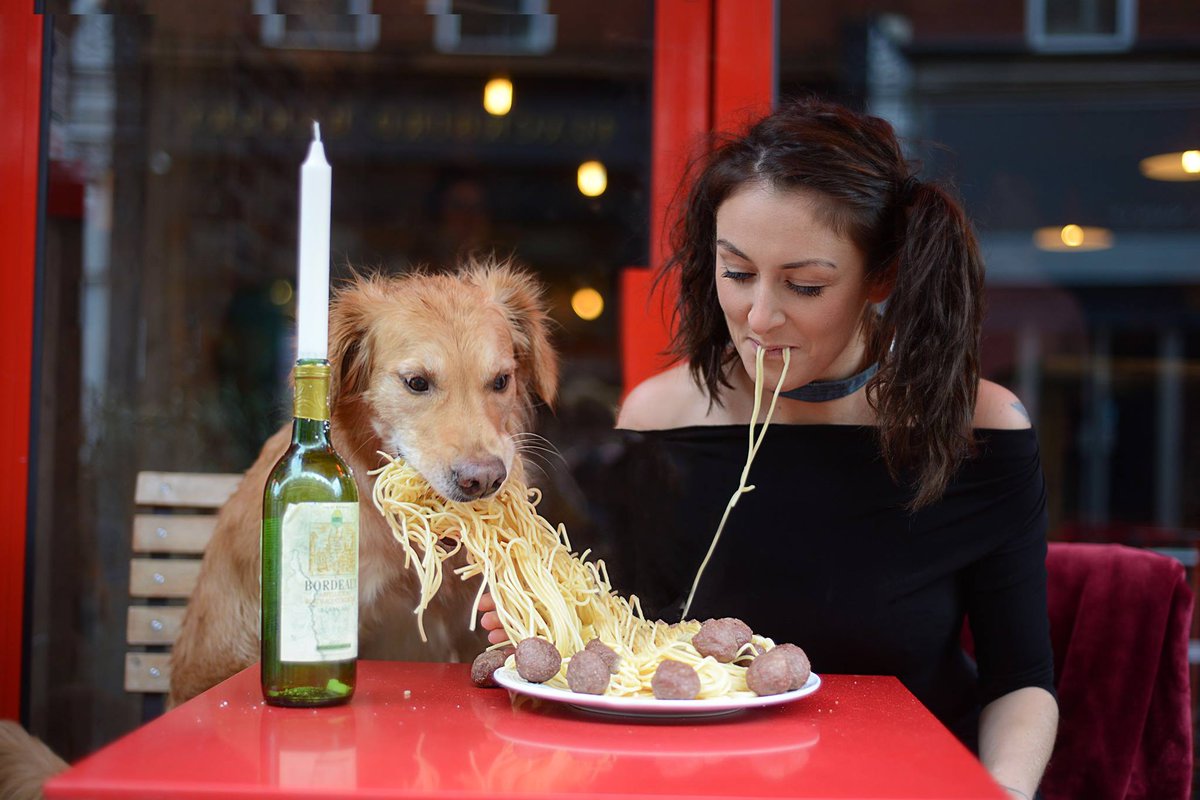 Fittingly at the start of the #YearoftheDog2018 photographer Ursula Aitchison is launching a Kickstarter campaign for new new book Phodography a collection of her photos of man and his best friend tinyurl.com/y93nhawp